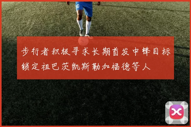 步行者积极寻求长期首发中锋目标锁定祖巴茨凯斯勒加福德等人
