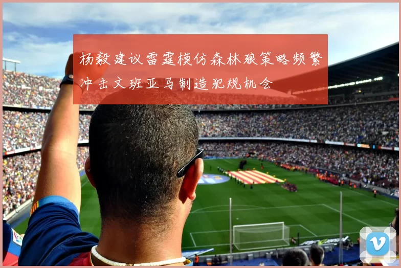 杨毅建议雷霆模仿森林狼策略频繁冲击文班亚马制造犯规机会